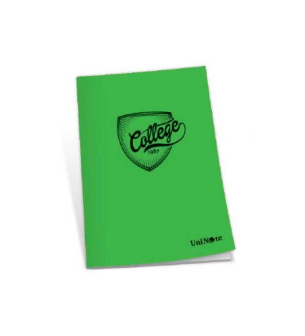 ÇINAR 76008 A4 100/4 PP KAPAK COLLEGE DEFTER