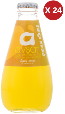AVŞAR MANGO VE ANANAS SODA 24 ADET