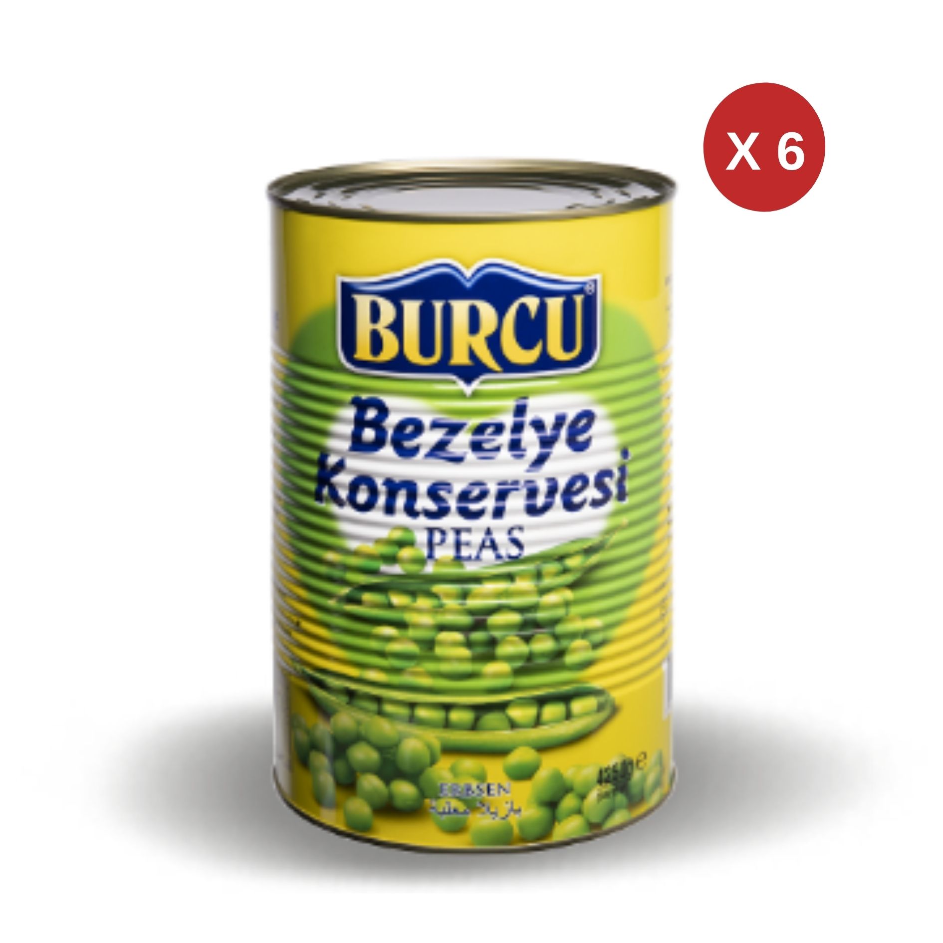 BURCU BEZELYE- 4250 (6 ADET)