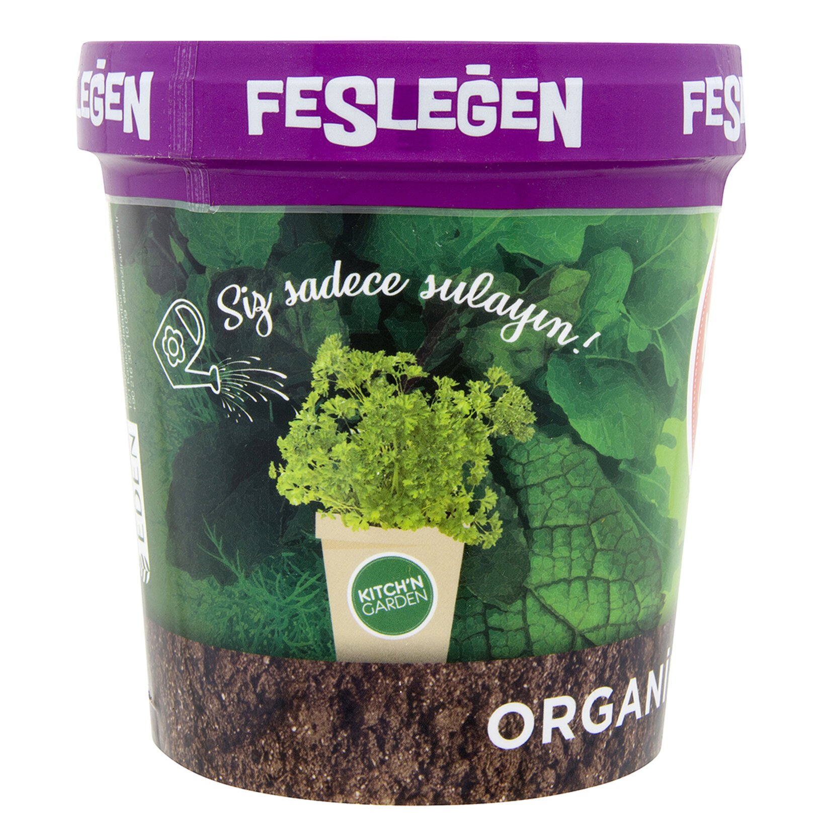  KİTCH'N GARDEN FESLEĞEN YETİŞTİRME SETİ